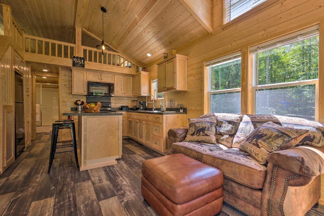 Quaint Mtn Cabin Tiny Living Near Big Adventure ブレバード エクステリア 写真